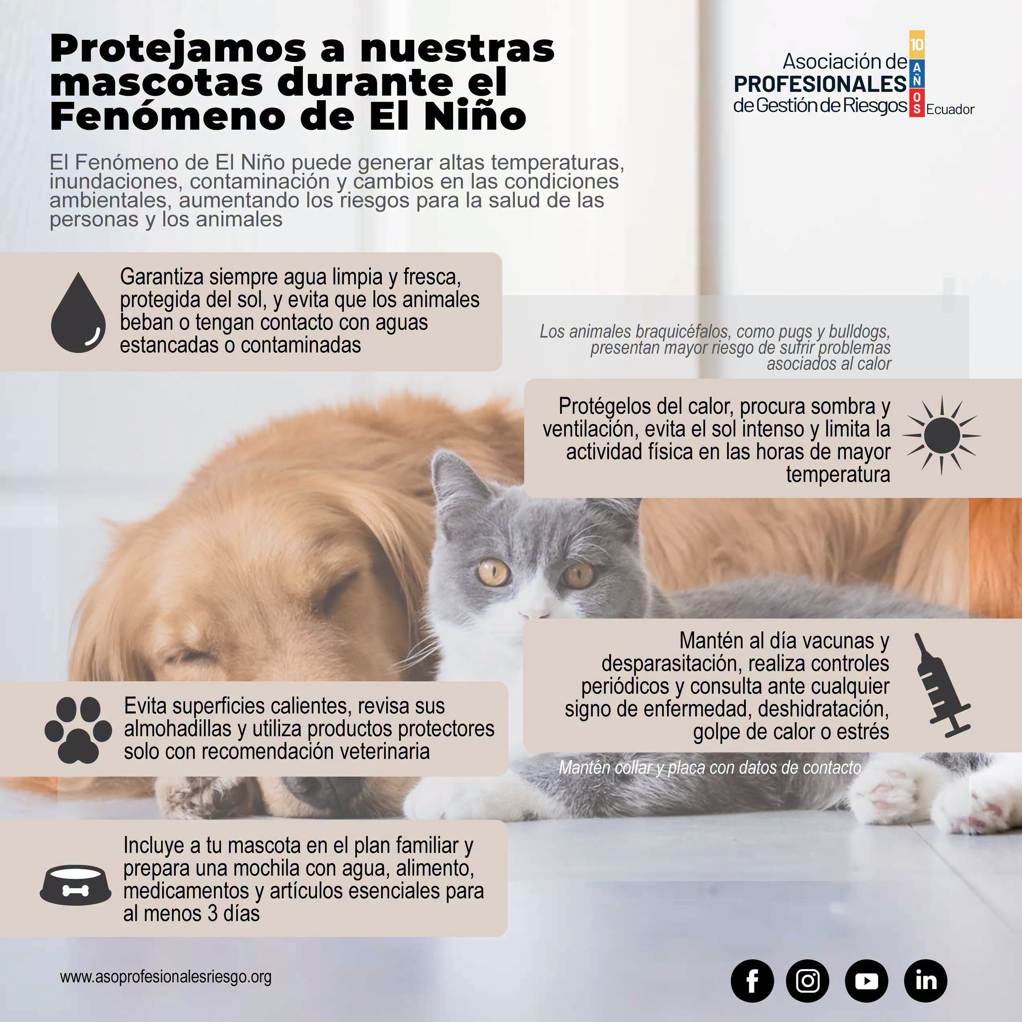 Infografía de APGRE con recomendaciones para proteger a las mascotas durante el Fenómeno El Niño
